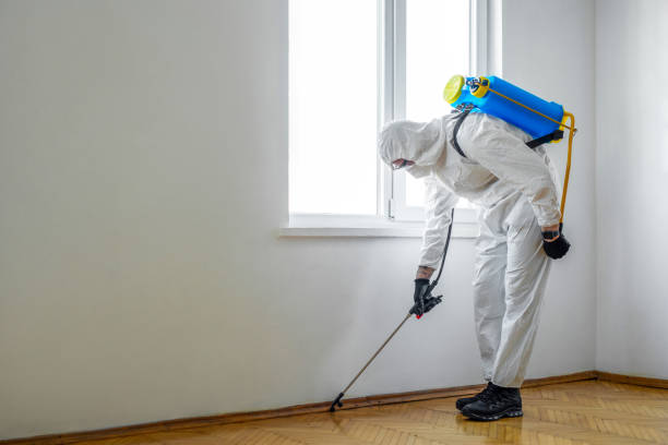 Professional Pest control in Lathrop, CA